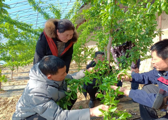 MAIN202205072255000260132276935