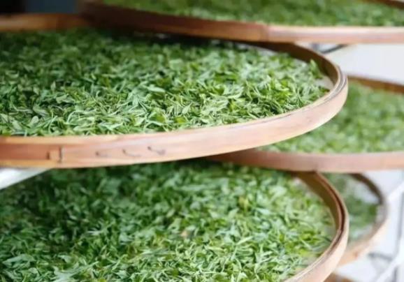 /lanyaWeb/lincangnews/upload/image/20220509/1652059889213947.jpg 360截圖20220509093034714.jpg