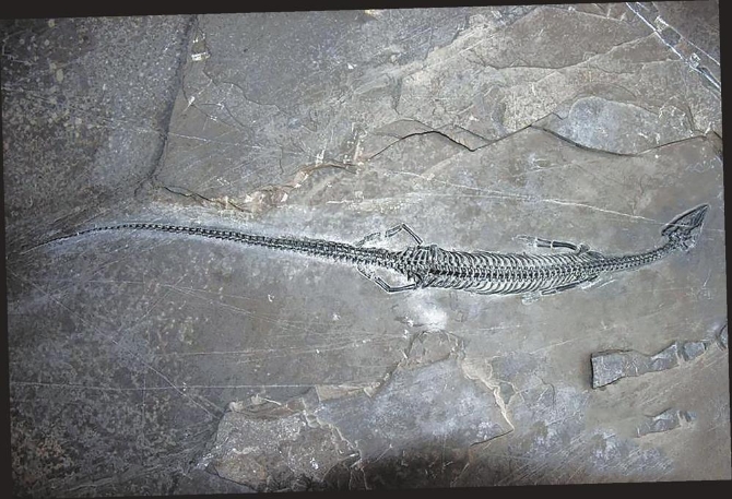 c357e739-b80b-4055-9186-ca1cf02faa8a.jpg c357e739-b80b-4055-9186-ca1cf02faa8a.jpg