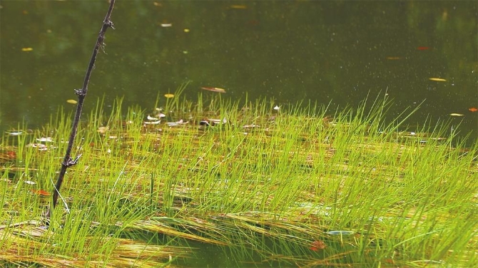 1c9aa033-12ca-4cae-b8f3-ebc1e532dc40.jpg 1c9aa033-12ca-4cae-b8f3-ebc1e532dc40.jpg