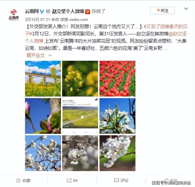 第四次！外交部發(fā)言人趙立堅又點贊云南啦！這次是因為……