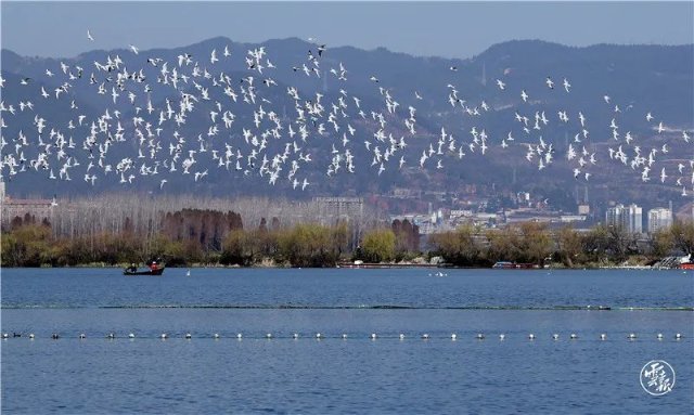 第四次！外交部發(fā)言人趙立堅又點贊云南啦！這次是因為……