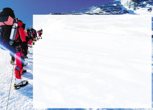 3631652218177390 3631652218177390