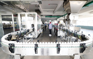 66461652302000473 66461652302000473