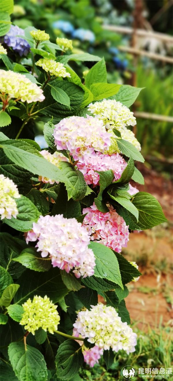 QQ圖片20220512222203