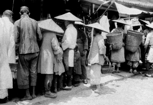 15361652379330161 15361652379330161