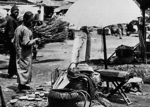 7241652379330161 7241652379330161