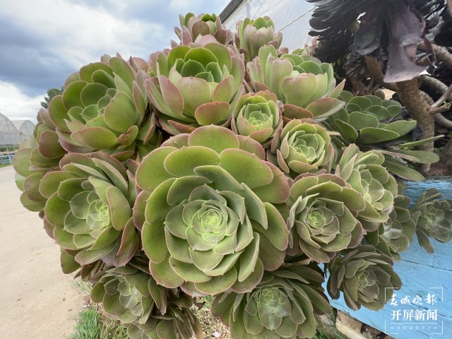 20220512220044KA5VTV 20220512220044KA5VTV