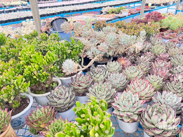 202205122200458RWP2L 202205122200458RWP2L