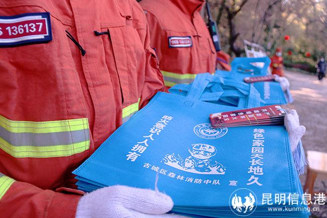 3 森林防火環(huán)保袋和特色書簽 3 森林防火環(huán)保袋和特色書簽