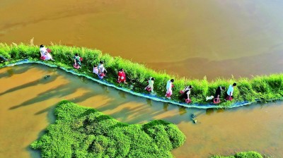 常為新、敢創(chuàng)新，青春綻放在鄉(xiāng)野