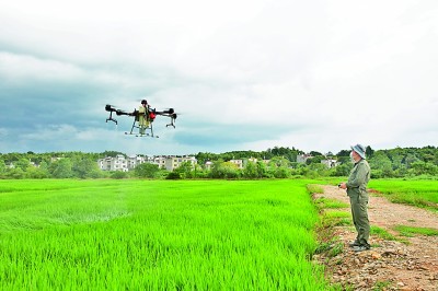 常為新、敢創(chuàng)新，青春綻放在鄉(xiāng)野