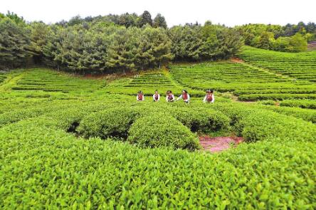 QQ截圖20220515093121 QQ截圖20220515093121