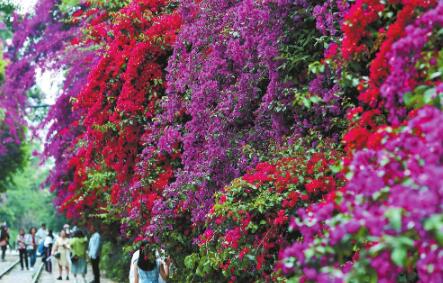 QQ截圖20220515094113