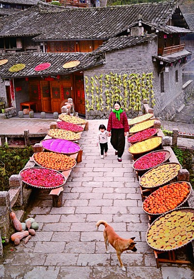 浙西南革命老區(qū)：紅綠融合繪共富新景