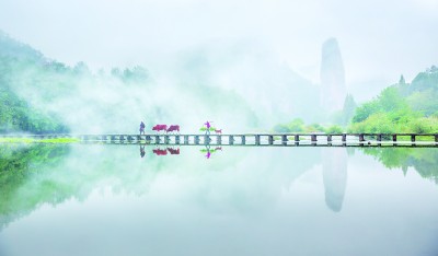 浙西南革命老區(qū)：紅綠融合繪共富新景