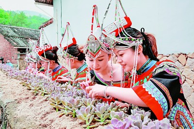 浙西南革命老區(qū)：紅綠融合繪共富新景