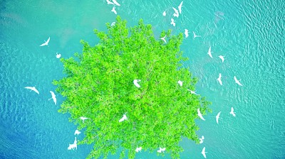 浙西南革命老區(qū)：紅綠融合繪共富新景