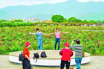 浙西南革命老區(qū)：紅綠融合繪共富新景