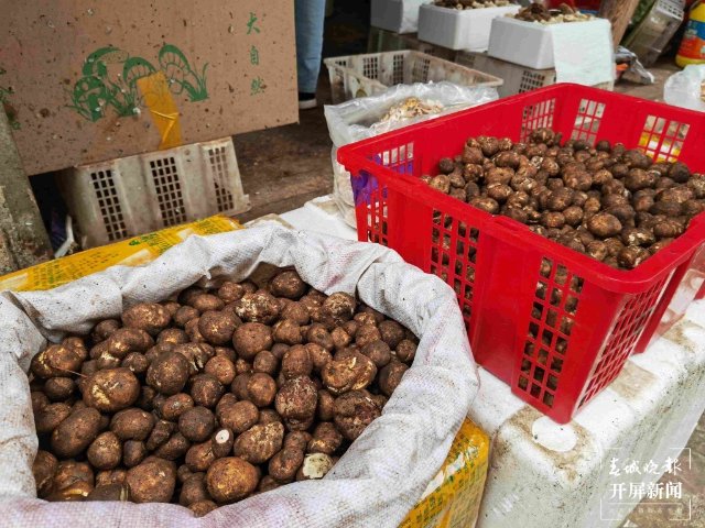 氣候冷熱不均，曲靖“野生菌”量少價高 (13689115)-20220515200108.jpg