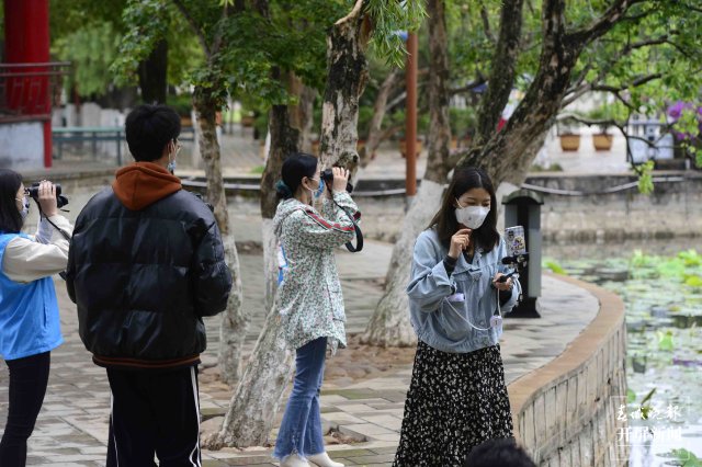 翠湖海菜花 龍宇丹 攝