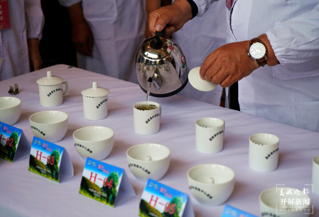 保山昌寧108家茶企角逐40個(gè)獎(jiǎng)項(xiàng)，擦亮“千年茶鄉(xiāng)”名片