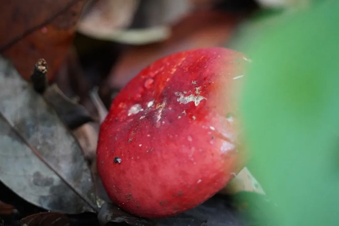 99775c43377c3d7fbff8c7e59192aa67.jpeg 圖片