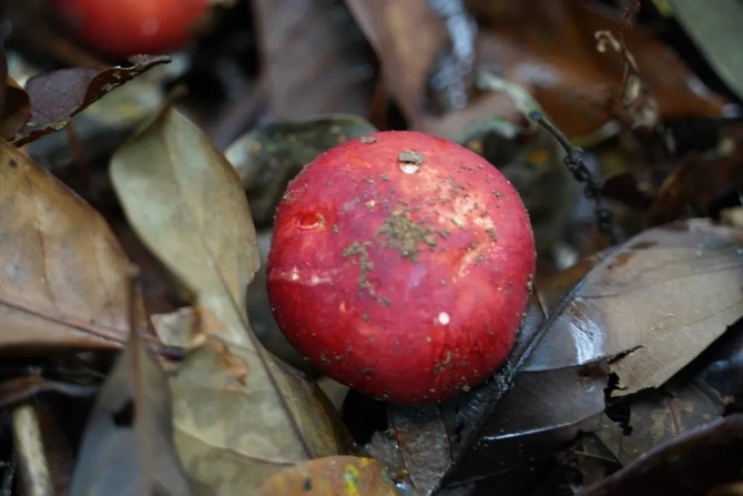 175465e897dde9124fea8523af47746c.jpeg 圖片