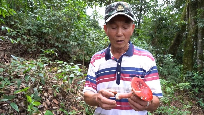 李玉黑.jpg 圖片