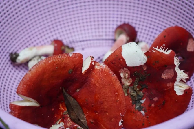 480d7db274d342d560be76f8e9f940b5.jpeg 圖片