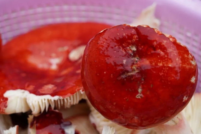 c81cbe2e464b5a5d446104992e94c5b1.jpeg 圖片