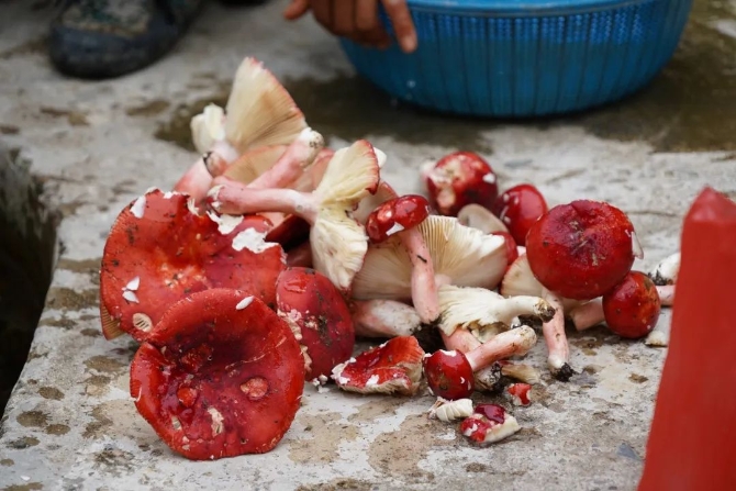 d5919874859a636c1234b088d82f8a16.jpeg 圖片