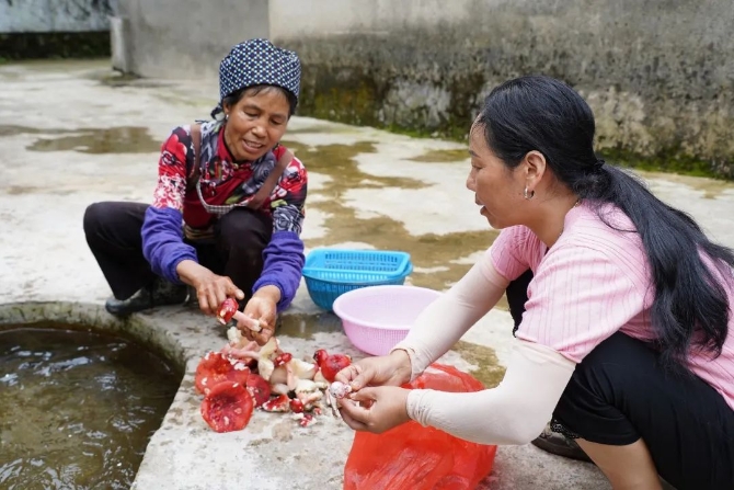 22bd26a4a0d08b828382dc286b7ffb88.jpeg 圖片