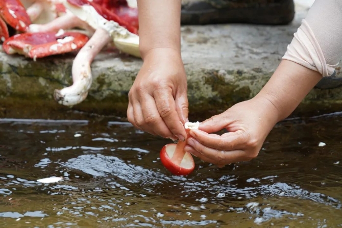 d17401a0dfef46bd6626a490407dfcd0.jpeg 圖片