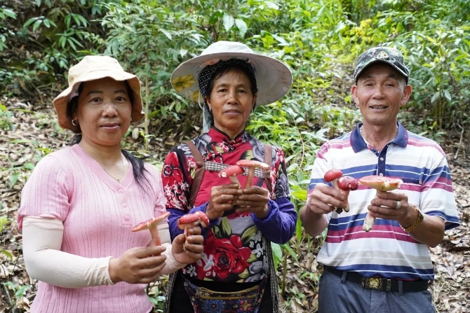 c122ab35758e953cf8cd3ebbb72e7cc9.jpeg 圖片