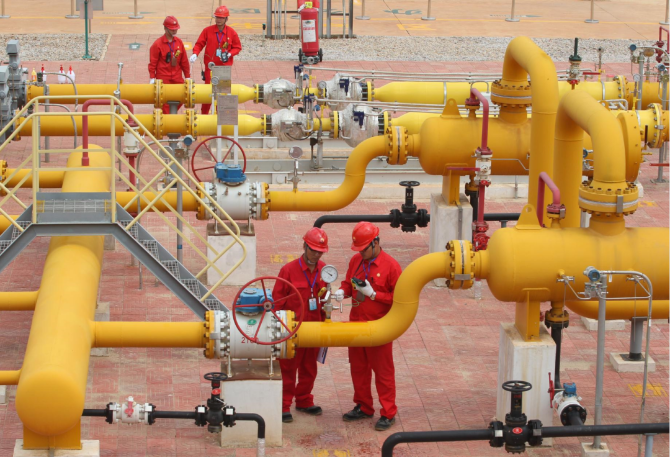 code_ynrb2c1ef2b9-311e-47fe-8160-2ba343b29390 code_ynrb2c1ef2b9-311e-47fe-8160-2ba343b29390