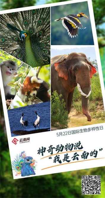 img_9601654c72e5c8c108afdf709ffe51b647c2 img_9601654c72e5c8c108afdf709ffe51b647c2