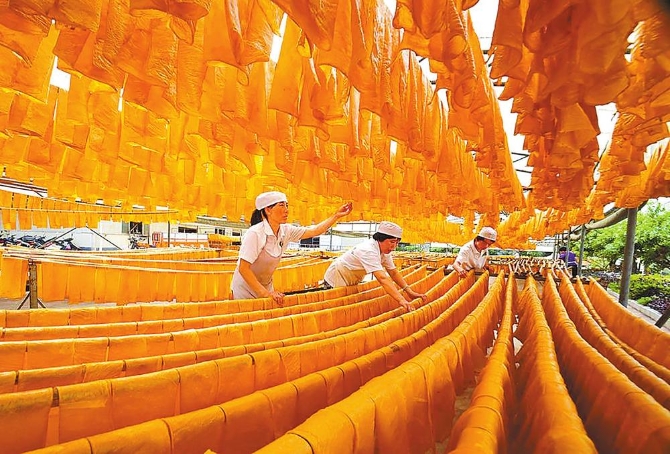 豆腐皮制作 本報通訊員 張進發(fā) 攝