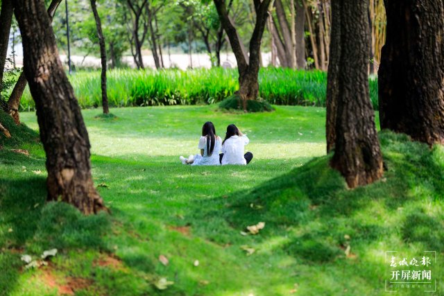 城市中心古樹成林！262棵古樹讓曲靖這處公園成了當(dāng)季最火打卡地