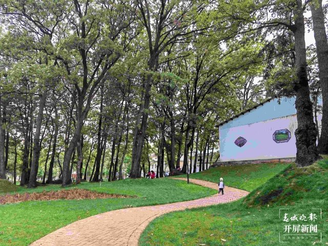 城市中心古樹成林！262棵古樹讓曲靖這處公園成了當(dāng)季最火打卡地