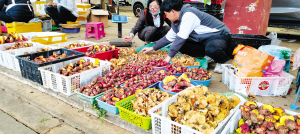 攤位上待售的野生菌。 云南木水花野生菌交易中心供圖