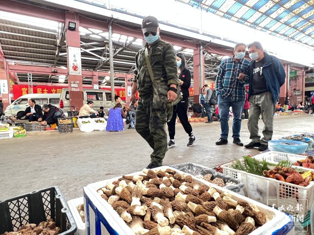 大量上市！價(jià)格跳水！昆明人敞開吃野生菌的時(shí)機(jī)終于到了！（開屏新聞?dòng)浾?楊質(zhì)高 攝）