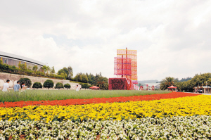 云南出臺具體措施提振旅游行業(yè)信心。 記者趙偉攝