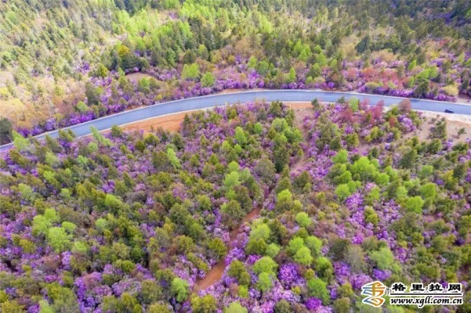 27fa722c-f88f-4b30-93c9-bd396bc7cef9_batchwm