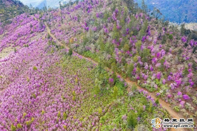 27fee169-bd81-48c8-972e-50f9e26224b6_batchwm