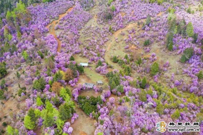 84260016-e277-4a87-ba7e-430f26d649bf_batchwm