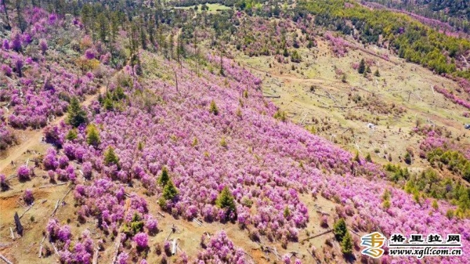 c1948dcd-78a8-403d-aa1d-e775d538d80e_batchwm