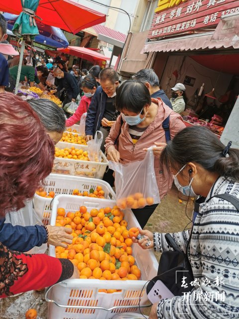 藍莓低至30元/公斤！昆明時令水果大量上市（開屏新聞記者 李賽 攝）