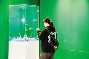 市民參觀“一帶一路”文明的代碼·人類的記憶展覽。 云南文學(xué)藝術(shù)館供圖