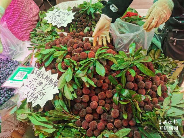 藍莓低至30元/公斤！昆明時令水果大量上市（開屏新聞記者 李賽 攝）